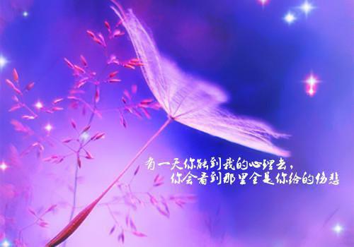 全员娇宠小撩精野翻了小说(重生)名纤纤傅玦章节阅读