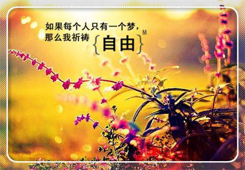 黄瓜国王的读后感