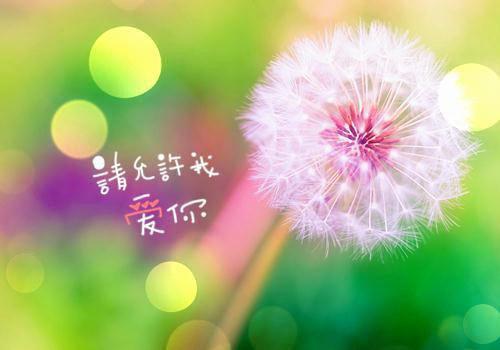 都市我能看见死亡时间小说(男频)方小白姜欣欣章节阅读
