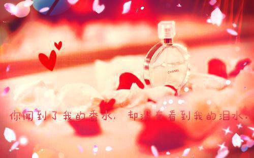 经典语录：忙的时候，不辜负路；爱的时候，不辜负人
