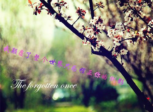 （旧时明月路颜欢君无琊）小说-最新章节在线阅读