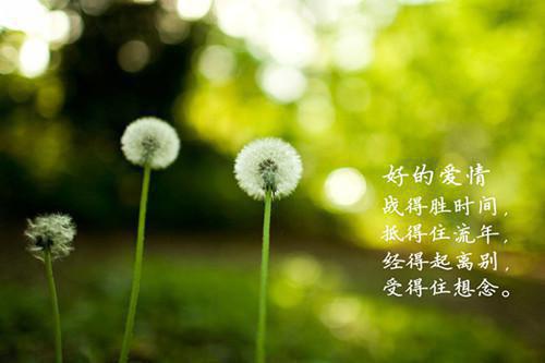 《简芷颜周西沉》最新章节免费阅读by简芷颜周西沉无广告小说