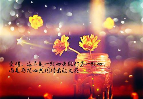 房屋质量保证书集合7篇