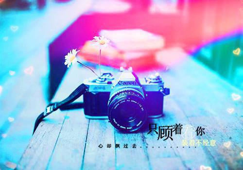 名门庶女：与君相知十一蓝在线阅读-名门庶女：与君相知全文免费阅读