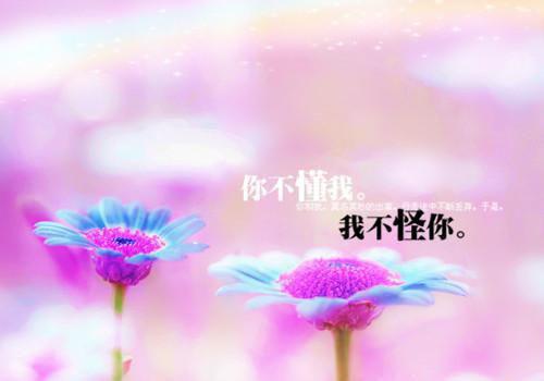小说唯独不给她婚姻主角为叶知欢顾方南免费阅读