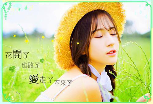 血珍珠全本小说血珍珠免费章节阅读