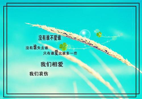 三爷夫人拎着搓衣板来了小说安如月司景琰无弹窗阅读