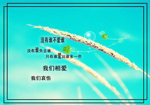 小说无敌小姑爷沈峰徐芊芊完结版全文免费阅读