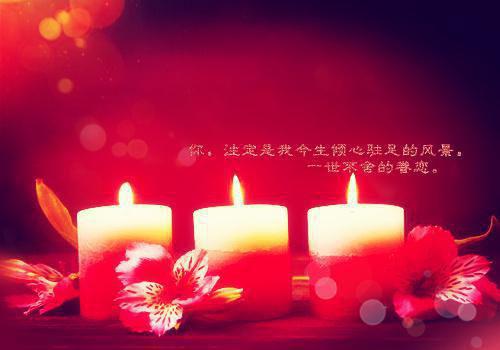 始皇嫡子诸天升级小说赵玄by飞天杨哥无广告阅读