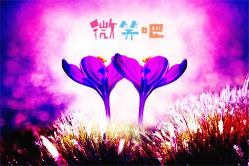 离婚惨死？重生前夫给我磕头拜年小说番外+结局（虞桃谢斯南）小说在线阅读