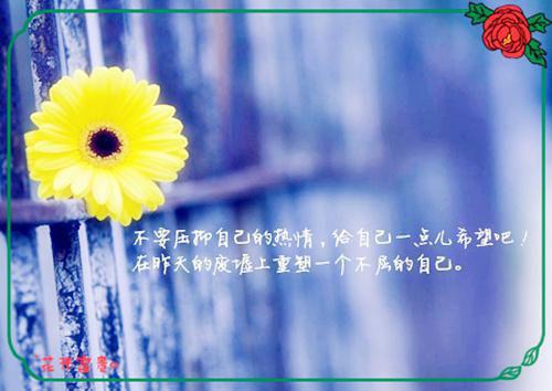 严诗傅言眠小说全本阅读他误会她勾引自己的弟弟by年年