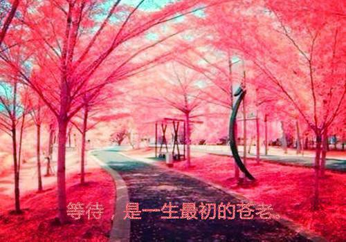 写一个你熟悉的人