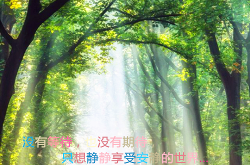 女人励志经典语录个性签名