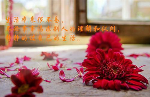 读三十六计有感
