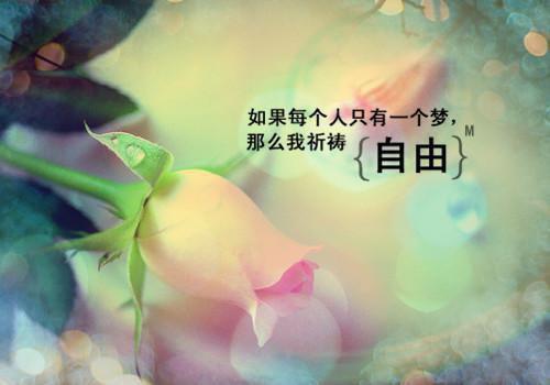 穿越李云龙战神系统精彩小说(七匹孤狼)全章节阅读