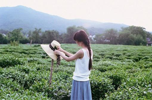 新上《福气丫头》扶苏藤小说免费阅读