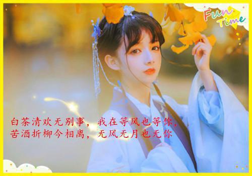 作者为棠花落的小说449030免费阅读