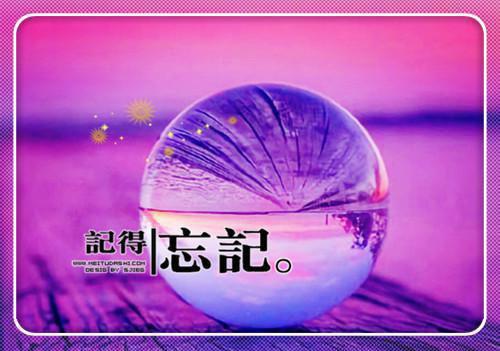 爆款小说医武龙婿叶轩全文免费阅读