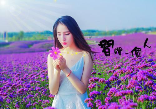 全章节小说不当替身后，我上婆媳综艺爆火了南溪不喜最新阅读