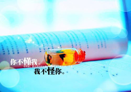 关于我的同学的作文