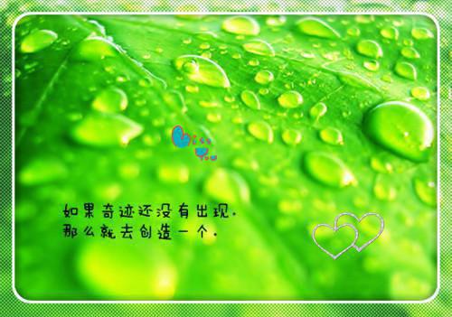 姜橙裴枳抖音完结版阅读《姜橙裴枳抖音》最新章节目录好书推荐_(姜橙裴枳)