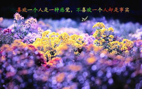 绝色总裁的贴身保镖「免费小说」沈云沧柳若瑄最新章节阅读
