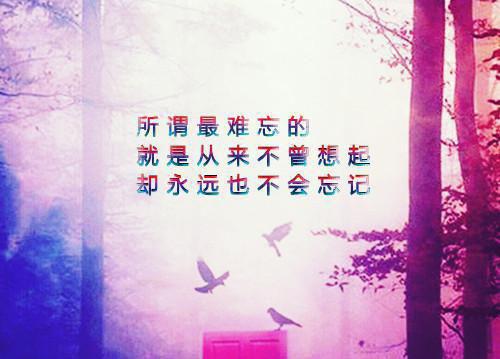侯门风华：拜见极品恶婆婆花静苏小说免费阅读