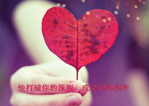 黎清萧景逸小说 黎清萧景逸免费阅读