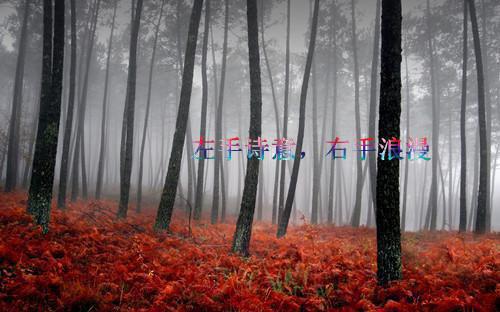 那一刻我懂得了爱