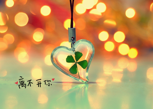 这，才是生命最美的样子