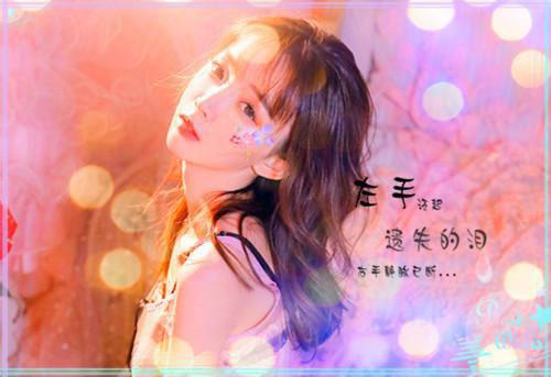 陈述宋清澜小说 陈述宋清澜免费阅读