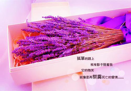 给李老师的一封信