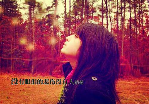 超催泪短篇小说《寒冬遇暖阳魏岚心霍廷笙》未删减阅读