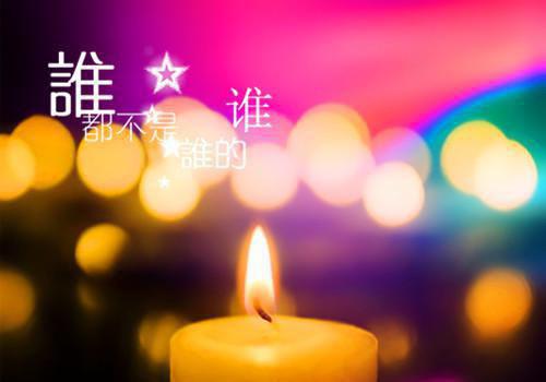 我是真的爱你小说娱乐圈文 黎初瑶李洛书喻森全书阅读