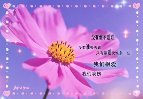 秦戈出狱救女儿秦长青大结局小说全章节阅读