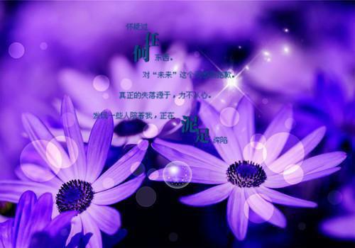 前夫勿近我现在只爱年下小乖乖宋云初陆珩免费阅读 作者路迟迟