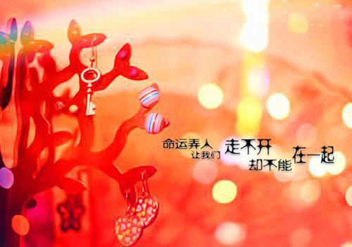 (甜宠)暗恋藏不住小说夏梦沈寰在线阅读
