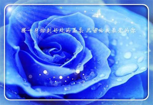 迟来的桃花全文阅读 佚名章节阅读