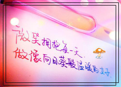 带崽回归她被财阀老公宠上瘾云沐音贺寒霄最新章节完整版小说阅读