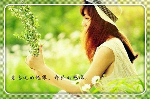 雨儿写的小说帝女谋：夫君个个都要宠最新阅读