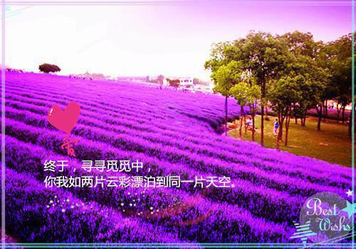 上级领导检查欢迎词