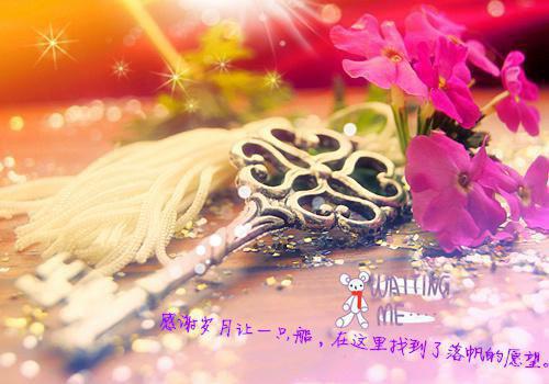 都市小说被虐后，我与渣总生死不见章节目录阅读
