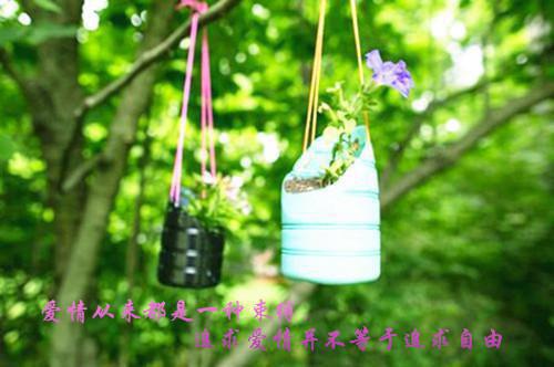 《九天风水师》陈长青钟明小说全文完整版阅读