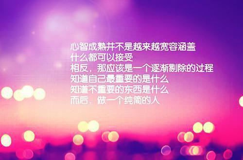 喵先生和汪小姐热门小说（温如安魏朝年）全文阅读