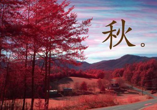富有童趣的诗句