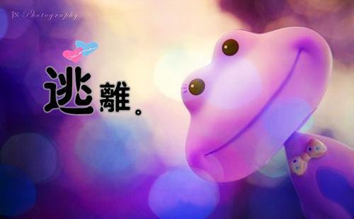 热文九州南王小说萧易林惜瑶全章节阅读