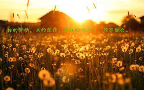 抗日战争故事的读后感