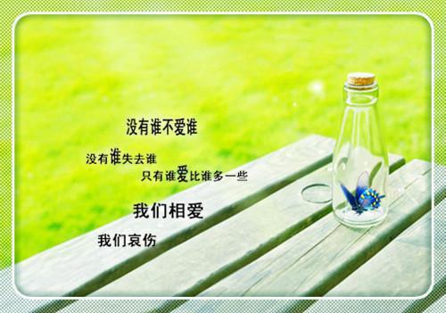 全本免费小说神医娘亲的马甲又掉了陆青鸾宇文寒翼完结版阅读
