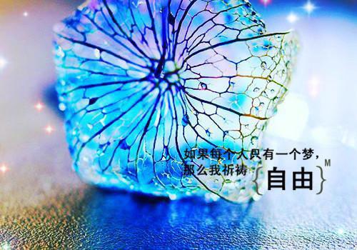 乡村妖孽全文阅读 冷流水章节阅读