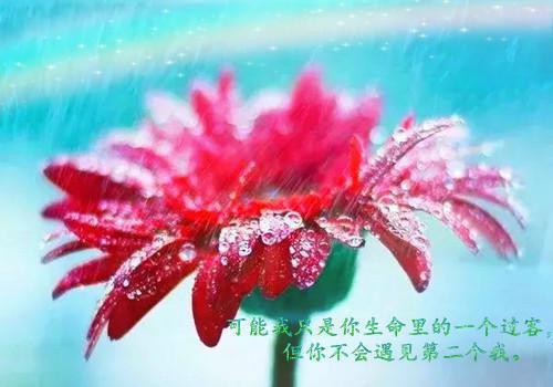 爆款小说无妄《傅家夫人不好惹》在线阅读